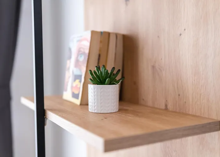 Apartment Modern 1-bedroom