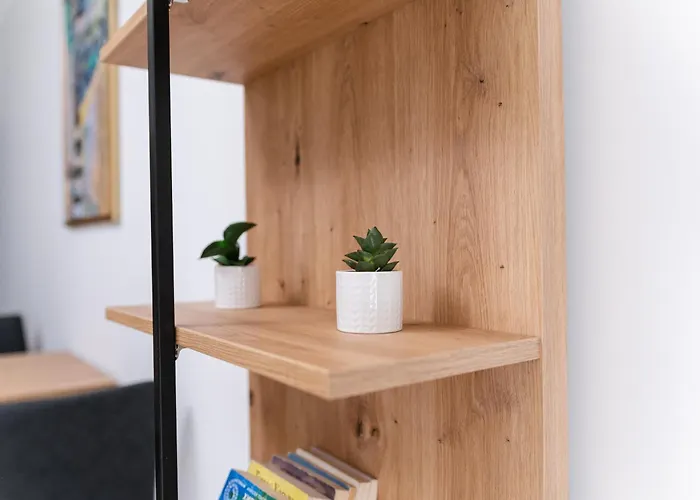 Modern 1-bedroom 公寓 普罗夫迪夫